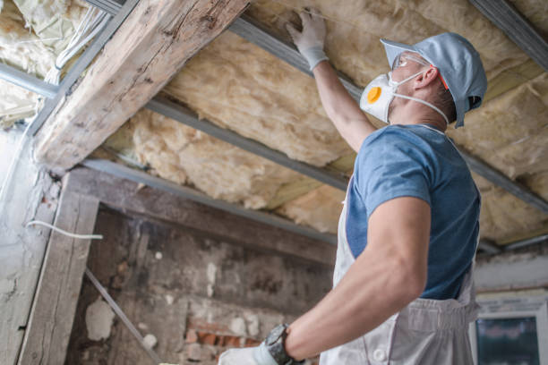 Best Cellulose Insulation in Pennside, PA